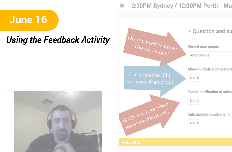 Using the Feedback Activity